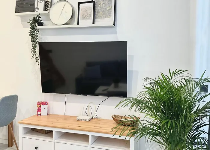 B8 * فوينخيرولا