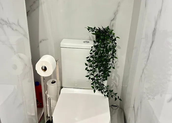 B8 فوينخيرولا